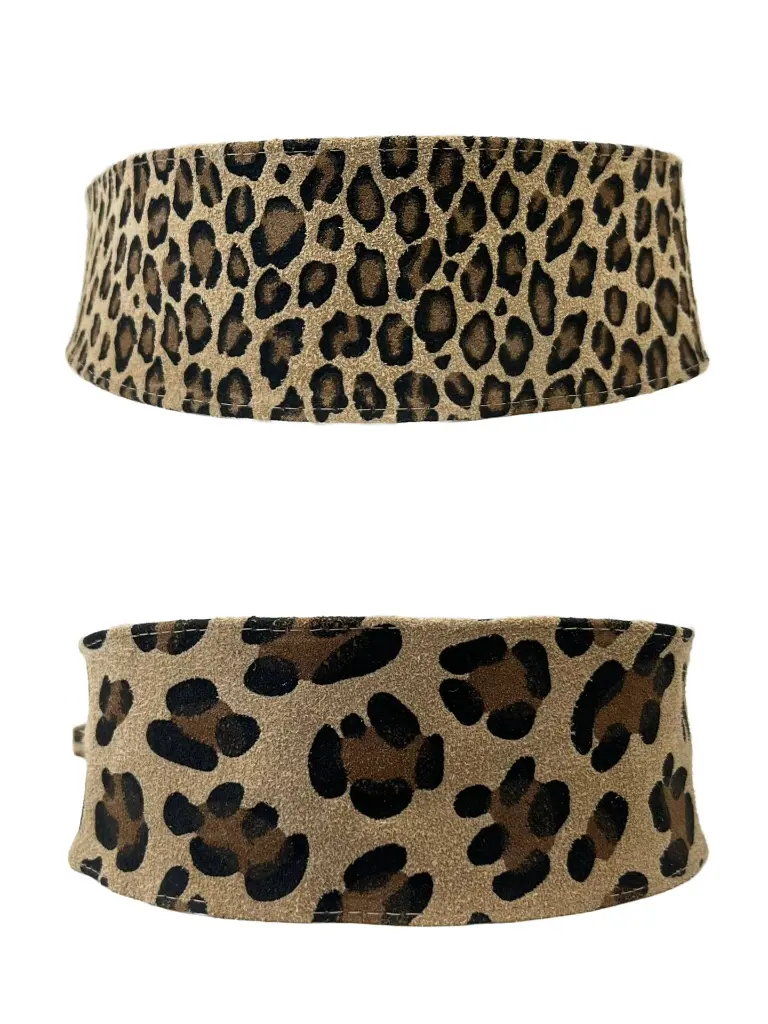 WhatsApp Image 2026-03-07 at 12.25.56.webp