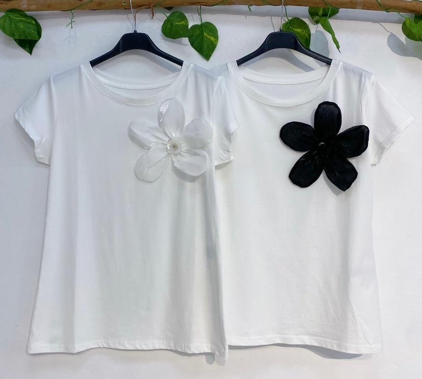 TSHIRTS-TS5020404