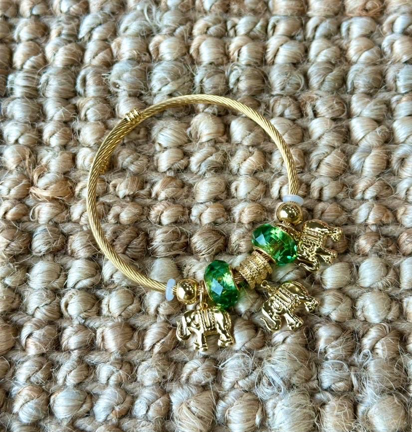 ACESSÓRIOS-SZ241008-5H