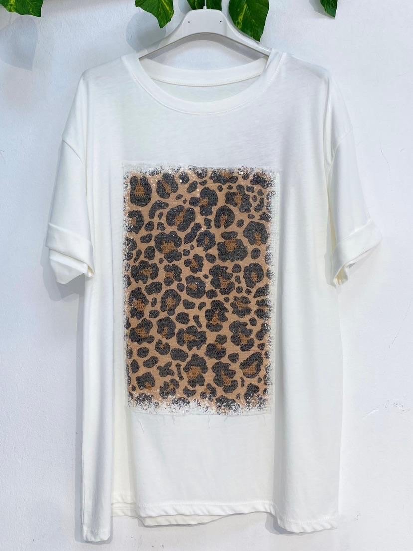 TSHIRTS-FIT100383
