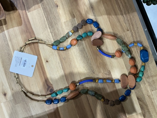 [CS250704.1X] CS250704.1X