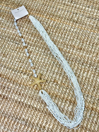 [C241008-5A+] C241008-5A+