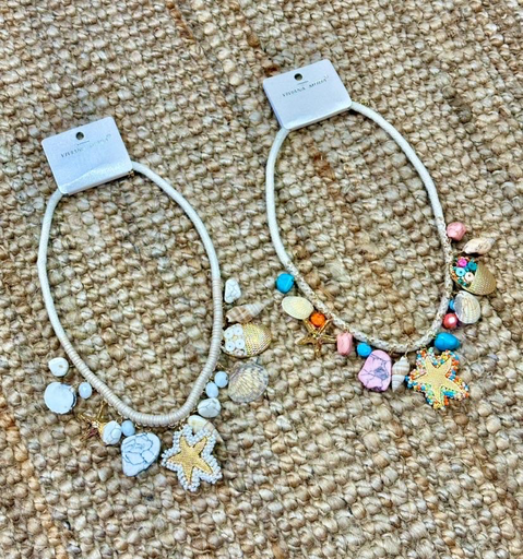 [C241008-8D] C241008-8D