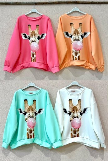 [OL219628] BLUSAS-OL219628