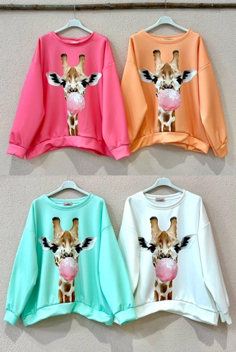 [OL219628] BLUSAS-OL219628